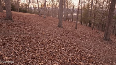 Welcome to Deerfield Resort--one of Norris Lake's most - photo 4