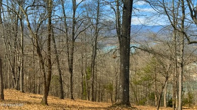 Welcome to Deerfield Resort--one of Norris Lake's most - photo 8