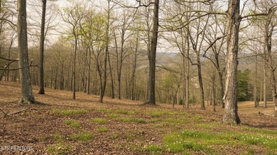 Welcome to Deerfield Resort--one of Norris Lake's most - photo 9