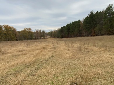 Premier East Texas Legacy 3,000 acre Ranch minutes from Longview - photo 12