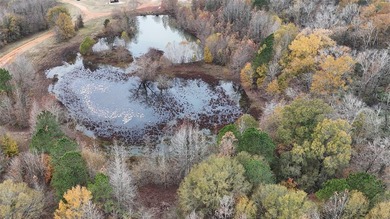 Premier East Texas Legacy 3,000 acre Ranch minutes from Longview - photo 13