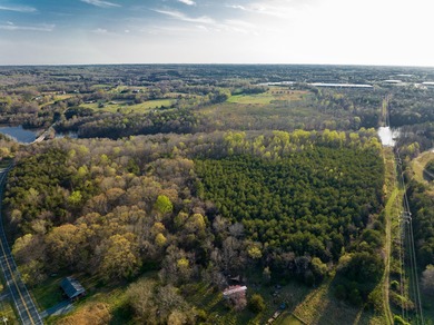 Prime 40+/- acre tract located approximately 0.3 miles from - photo 15