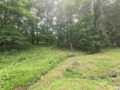 This quaint 2 bedroom 1 bath is the perfect starter home or lake - photo 7