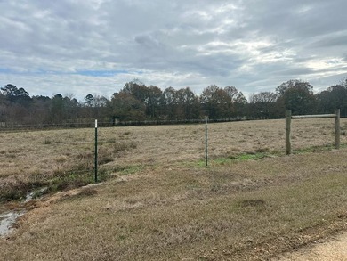 (private lake, pond, coastal) Acreage For Sale in Ovett Mississippi