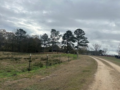Lots of pasture land fenced and cross fenced, pond. Beautiful - photo 2