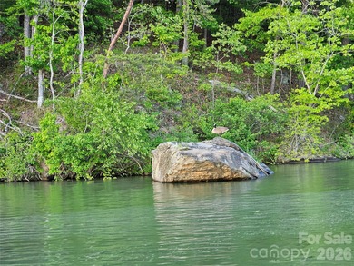 Lakefront wooded Lot with 190 ft of Lake Adger shoreline! New - photo 4