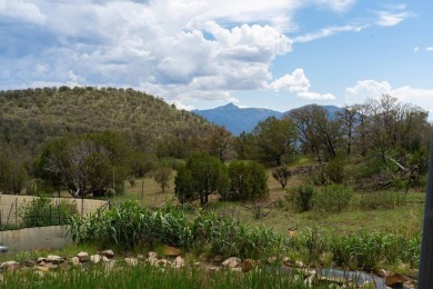 Lake Home For Sale in Capitan, New Mexico