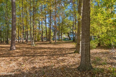 An extraordinary opportunity to design and build your custom - photo 15