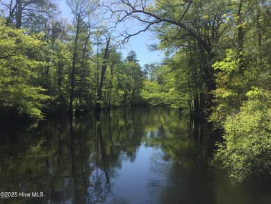 (private lake, pond, creek) Acreage For Sale in Burgaw North Carolina