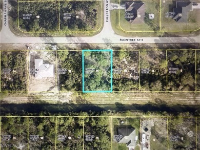 Lehigh Acres Area Lot For Sale in Lehigh Acres Florida
