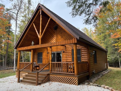 Lake Home For Sale in Millersburg, Michigan