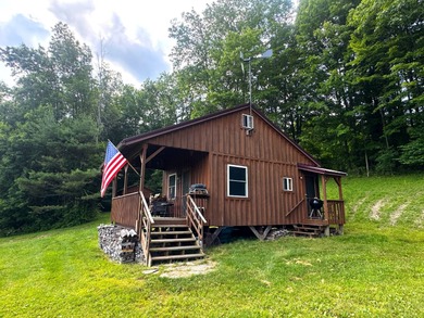 (private lake, pond, coastal) Home For Sale in Clarksville New York