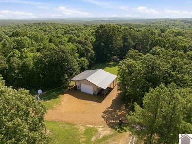 Country living just minutes from KY Lake and downtown Murray! - photo 10