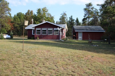 Lake Home For Sale in Mio, Michigan