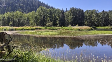 (private lake, pond, creek) Acreage Sale Pending in Cataldo Idaho
