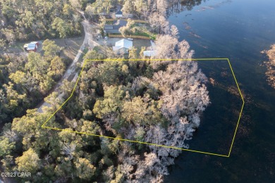 Dunford Lake Acreage For Sale in Chipley Florida
