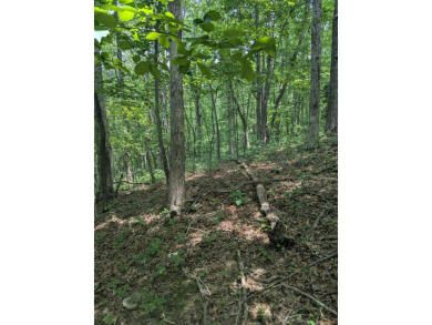 Lake Lot For Sale in Monterey, Tennessee