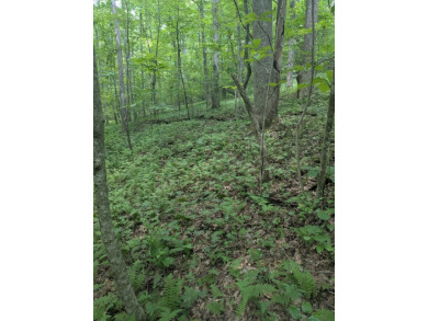 Lake Lot For Sale in Monterey, Tennessee