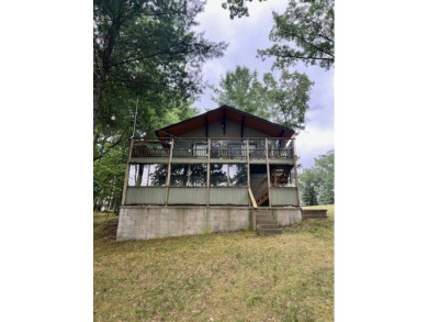 Lake Home For Sale in Baldwin, Michigan