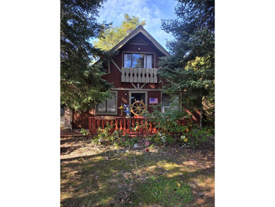 Lake St Helen Home For Sale in Saint Helen Michigan