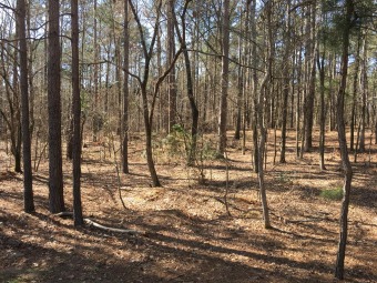 So private...Pretty wooded building lot in Cherokee Point, a Reyn - Lake Lot Sale Pending in Greensboro, Georgia