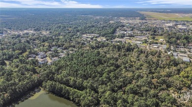 This 25.84-acre tract of unimproved land offers a rare - photo 8