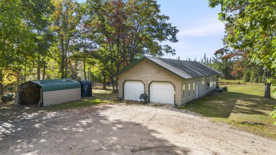 Lake Home For Sale in Atlanta, Michigan