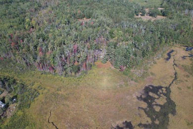 Lake Acreage For Sale in Atlanta, Michigan