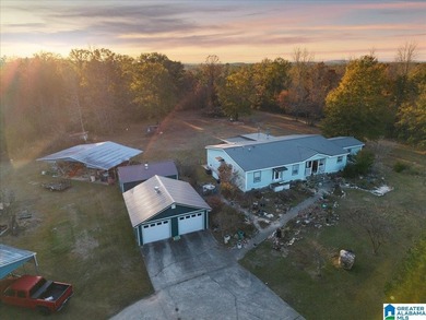 (private lake, pond, coastal) Home For Sale in Alpine Alabama