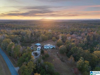 Private 116 acre retreat in Alpine AL near Logan Martin Lake - photo 2