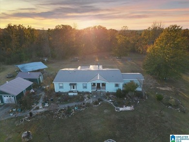 Private 116 acre retreat in Alpine AL near Logan Martin Lake - photo 3