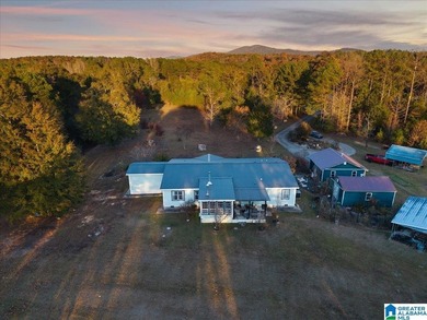Private 116 acre retreat in Alpine AL near Logan Martin Lake - photo 4