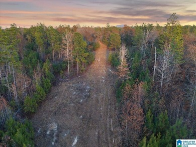 Private 116 acre retreat in Alpine AL near Logan Martin Lake - photo 6