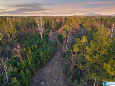 Private 116 acre retreat in Alpine AL near Logan Martin Lake - photo 7