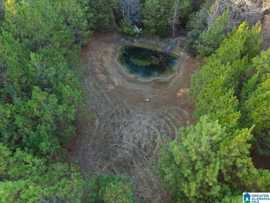 Private 116 acre retreat in Alpine AL near Logan Martin Lake - photo 8