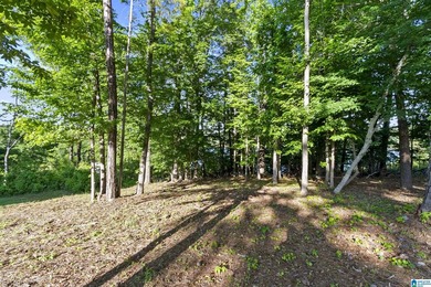 Positioned to capture stunning views of Lake Tuscaloosa, this - photo 21