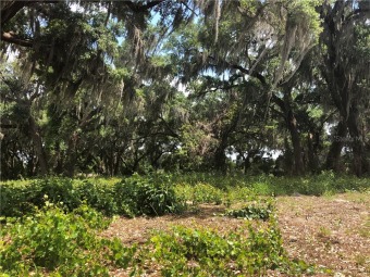 Lake Arrowtree Acreage For Sale in Groveland Florida