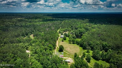 Hilltop Residence and new doublewide overlook a stocked lake and - photo 5
