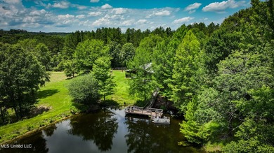 Hilltop Residence and new doublewide overlook a stocked lake and - photo 7