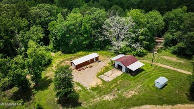 Hilltop Residence and new doublewide overlook a stocked lake and - photo 9