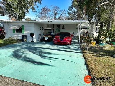 (private lake, pond, coastal) Home For Sale in Leesburg Florida