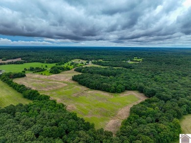 Kentucky Lake Acreage For Sale in New Concord Kentucky