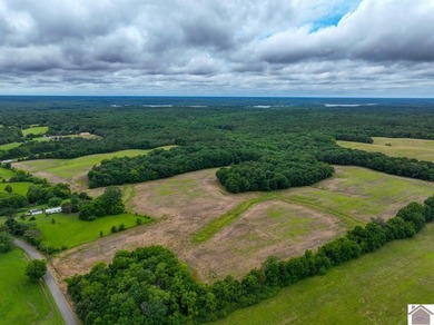 This hunting tract in Calloway County, Kentucky offers an - photo 3