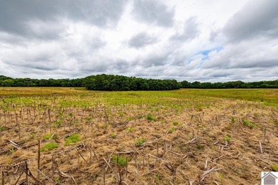 This hunting tract in Calloway County, Kentucky offers an - photo 6