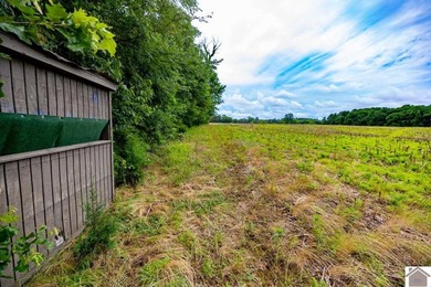 This hunting tract in Calloway County, Kentucky offers an - photo 8