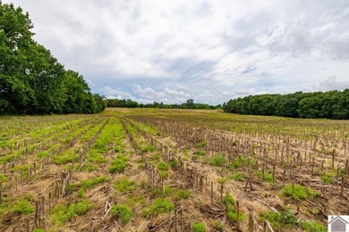 This hunting tract in Calloway County, Kentucky offers an - photo 9