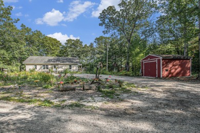 Lake Home For Sale in Indian River, Michigan