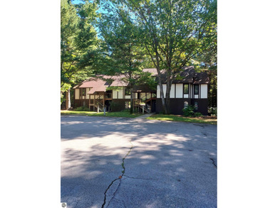 (private lake, pond, creek) Condo For Sale in Bellaire Michigan