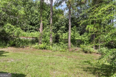 Welcome to Bartram Place! This 3-bedroom, 2-bath home offers a - photo 27