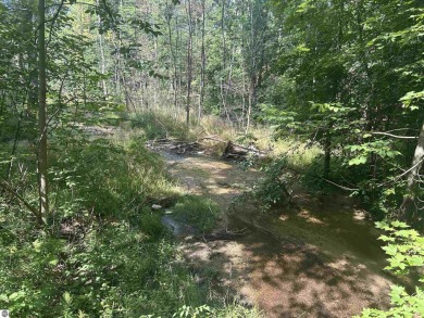 Lake Bellaire Acreage For Sale in Bellaire Michigan